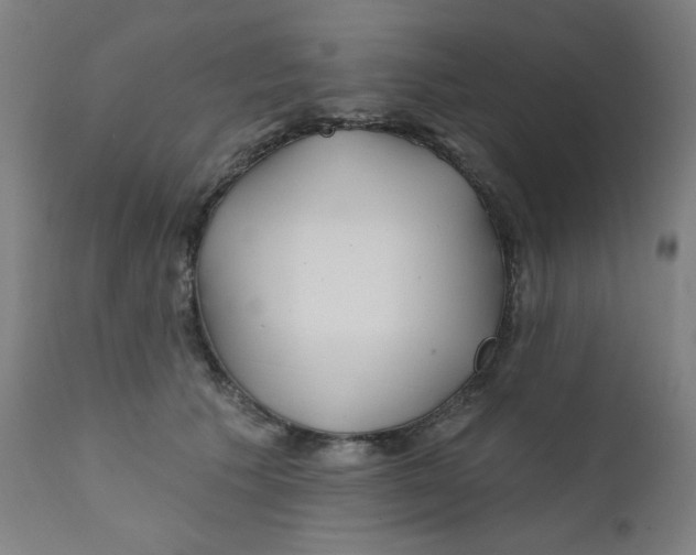 X0000112180609200909041232
