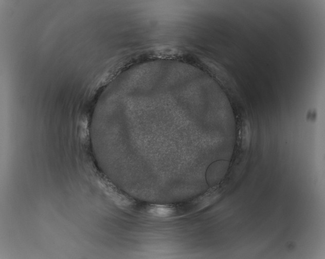 X0000112180610200909041232