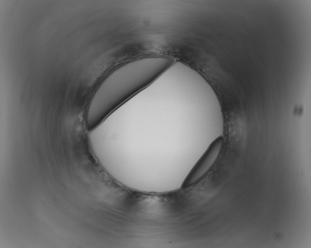 X0000112180611200909041232