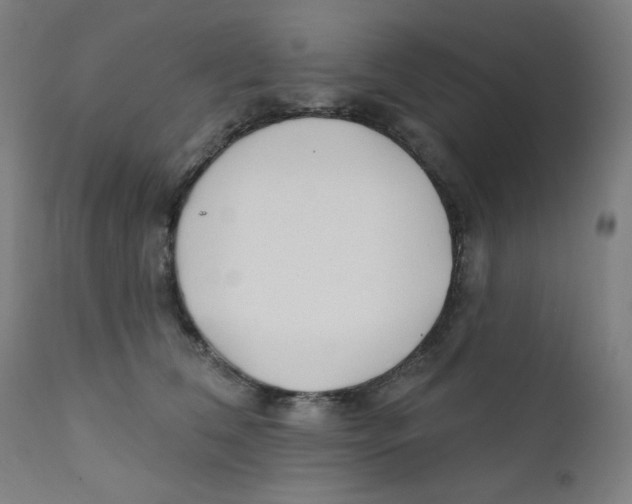 X0000112180612200909041232