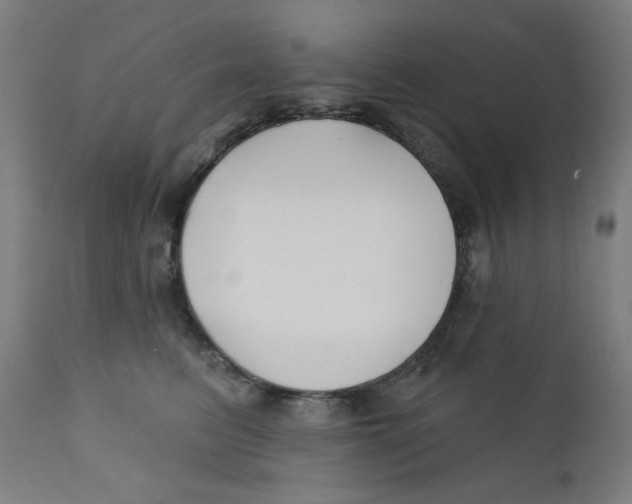 X0000112180615200909041232