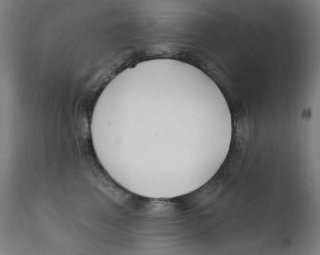 X0000112180617200909041232