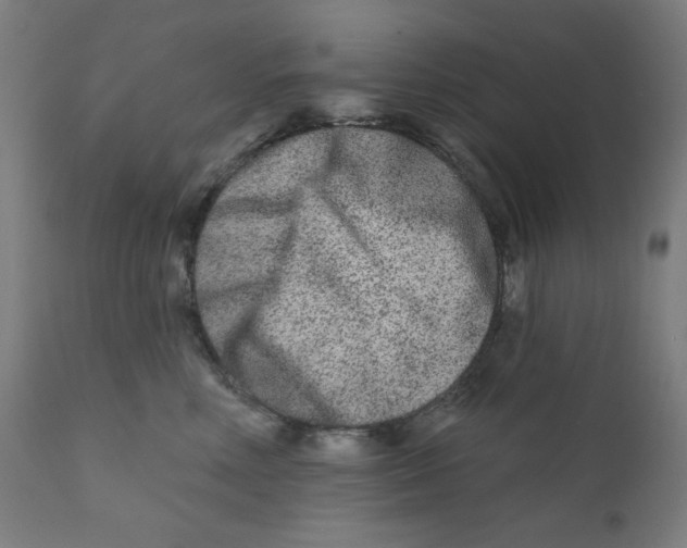 X0000112180618200909041232