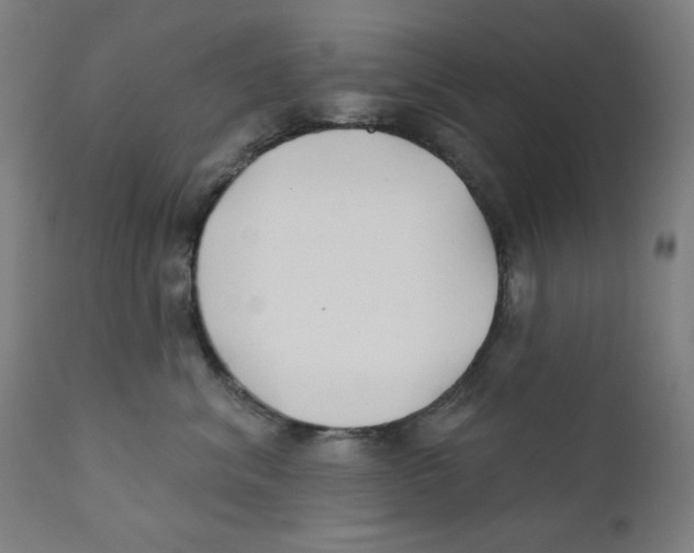 X0000112180620200909041232