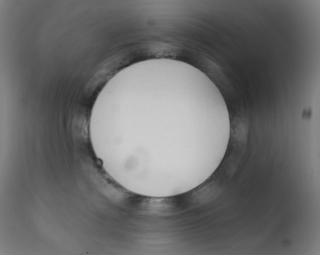 X0000112180622200909041232