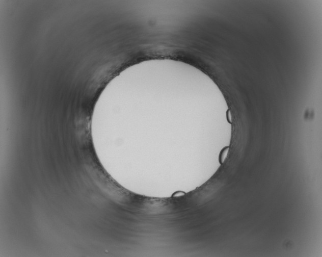 X0000112180624200909041232
