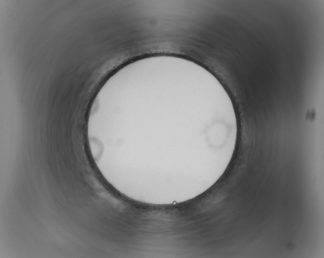 X0000112180625200909041231