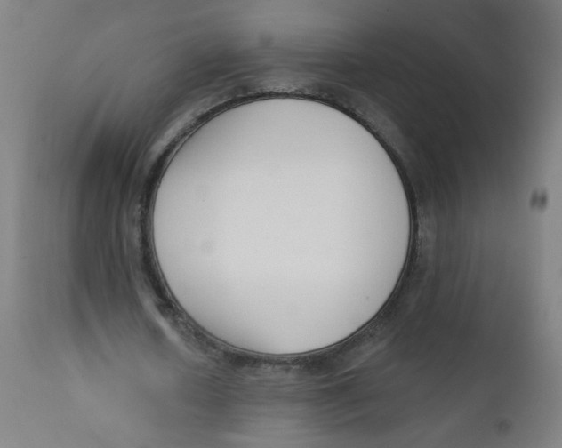 X0000112180626200909041231