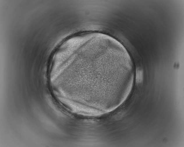 X0000112180627200909041231