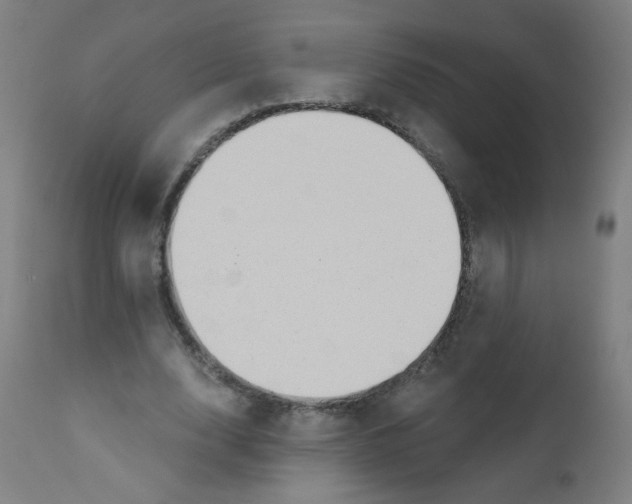 X0000112180632200909041231