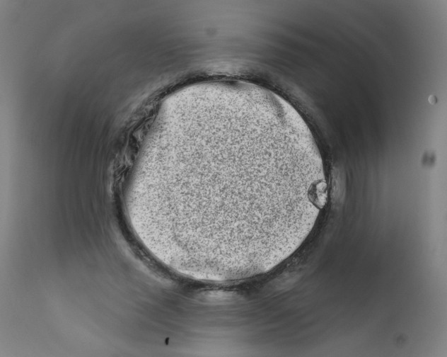 X0000112180637200909041231