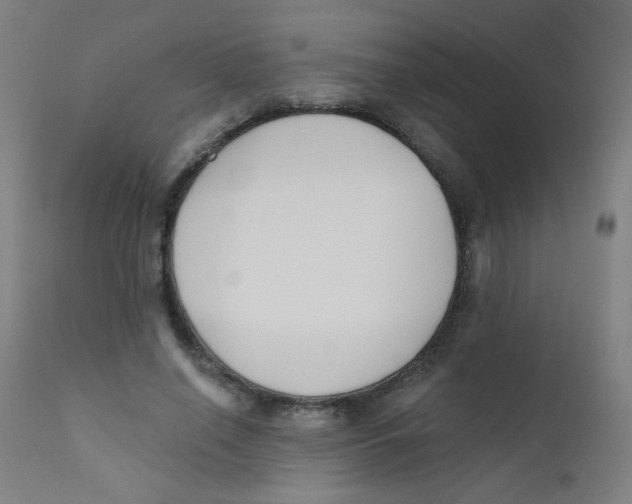 X0000112180638200909041231