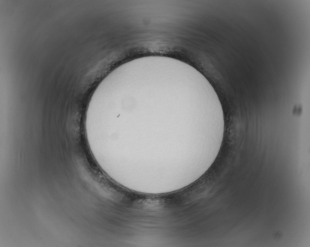 X0000112180639200909041231