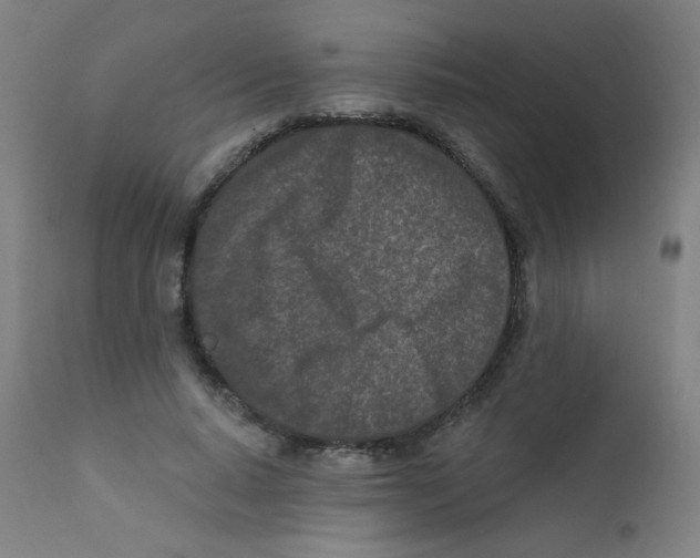 X0000112180640200909041231