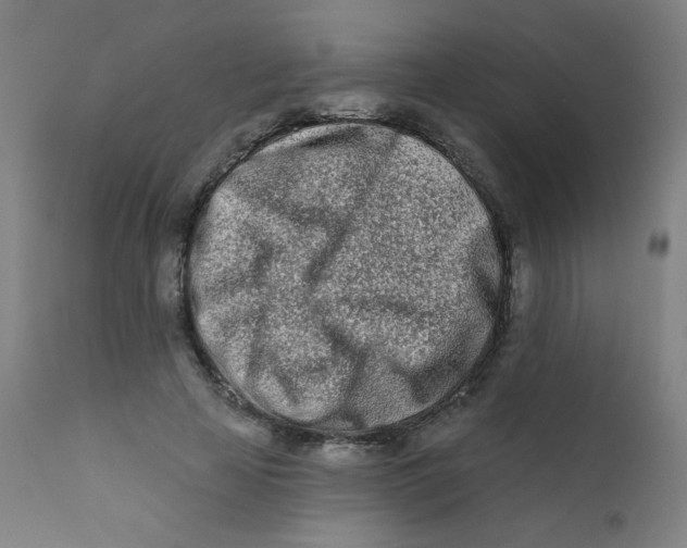 X0000112180641200909041231
