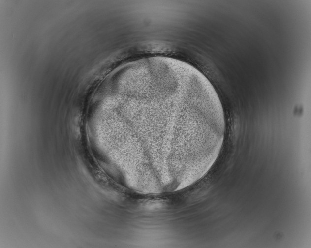 X0000112180643200909041231