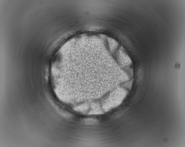 X0000112180644200909041231