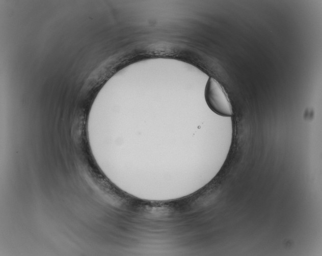 X0000112180645200909041231