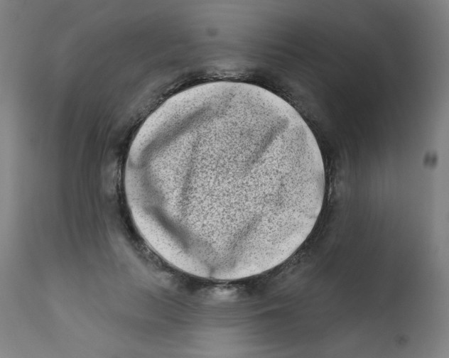 X0000112180647200909041231