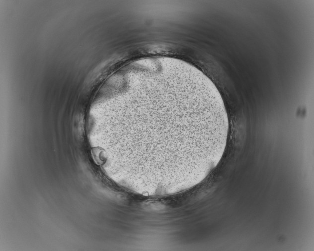 X0000112180648200909041231