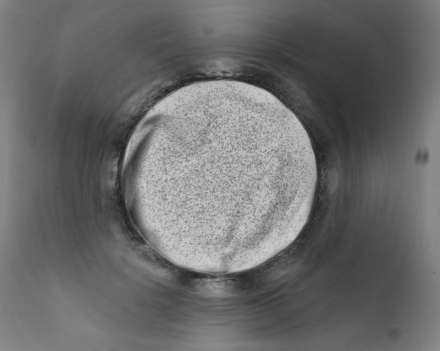 X0000112180652200909041231