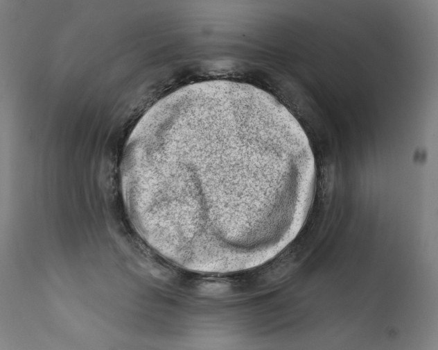 X0000112180653200909041231