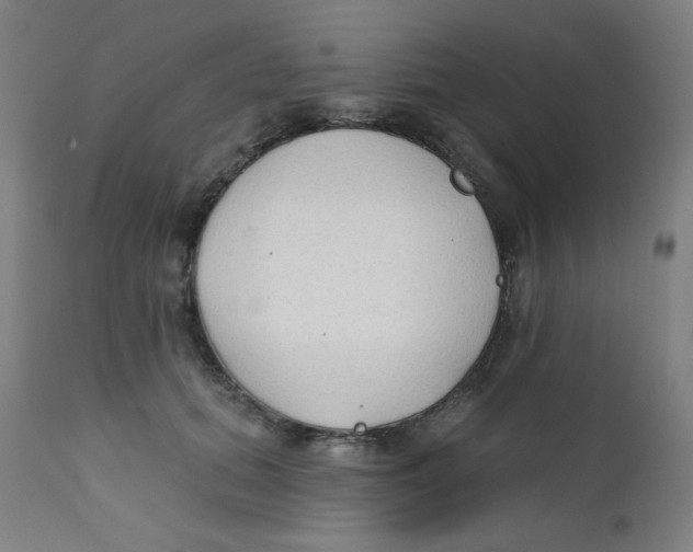X0000112180655200909041231