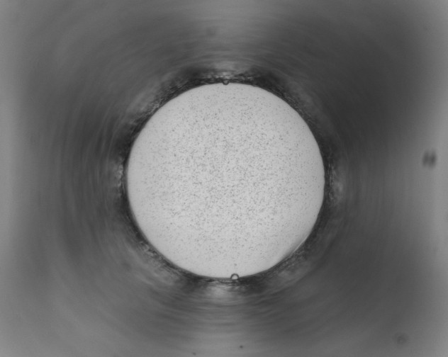 X0000112180657200909041231