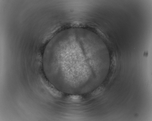 X0000112180659200909041231
