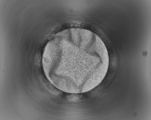 X0000112180661200909041231