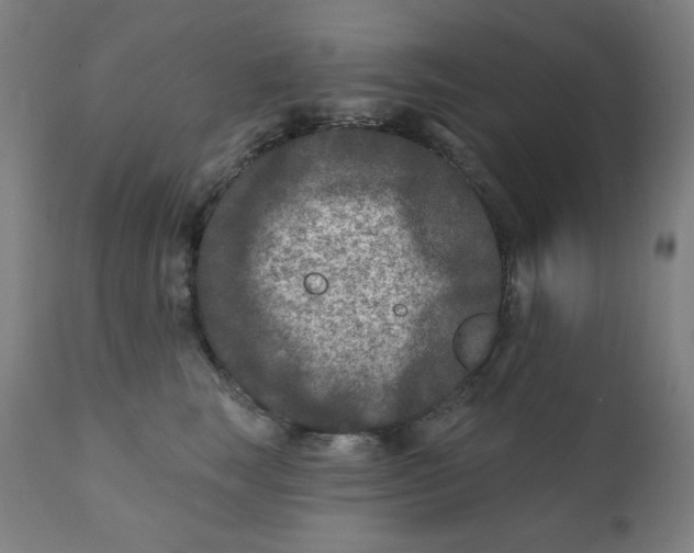 X0000112180663200909041231