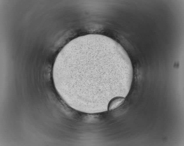 X0000112180664200909041231
