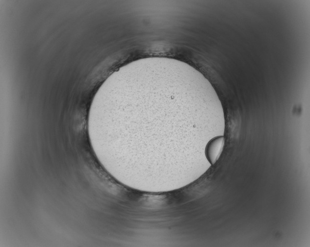 X0000112180665200909041231