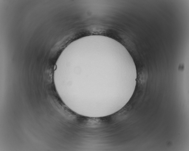 X0000112180666200909041231