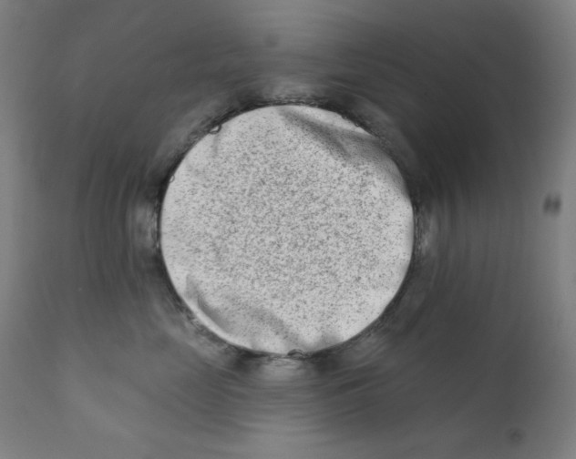 X0000112180669200909041232