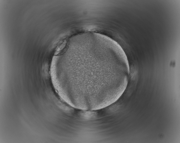 X0000112180670200909041232