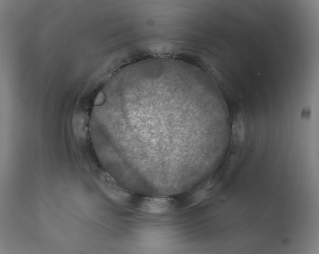 X0000112180671200909041232