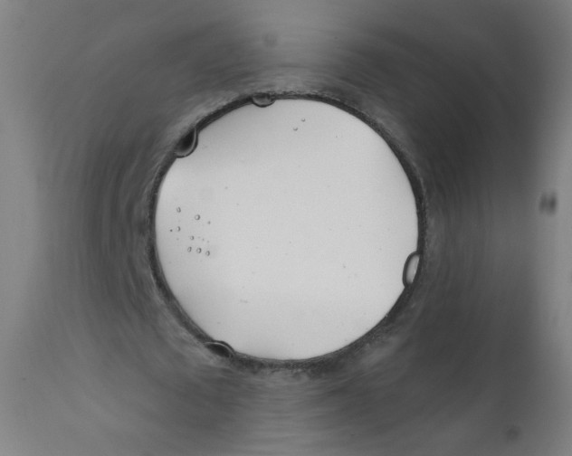 X0000112180673200909041231