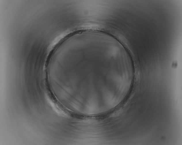 X0000112180674200909041231