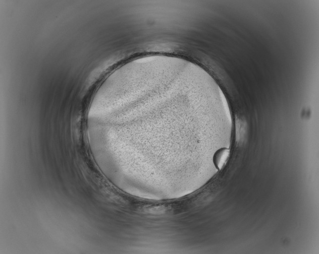 X0000112180675200909041231