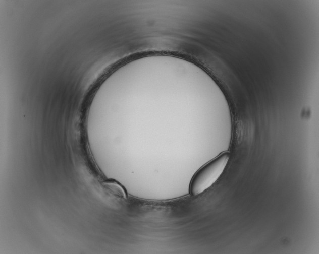 X0000112180676200909041231