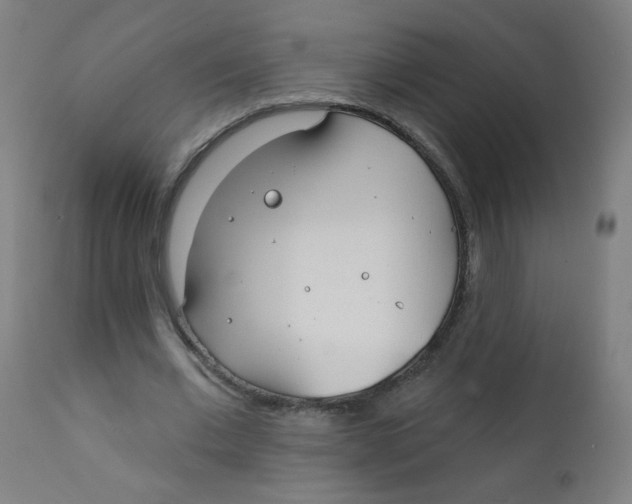 X0000112180677200909041231