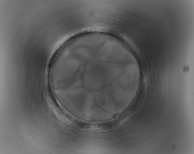 X0000112180678200909041231