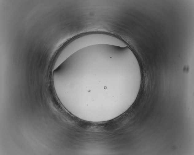 X0000112180680200909041231