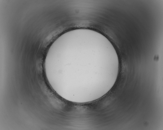 X0000112180681200909041231