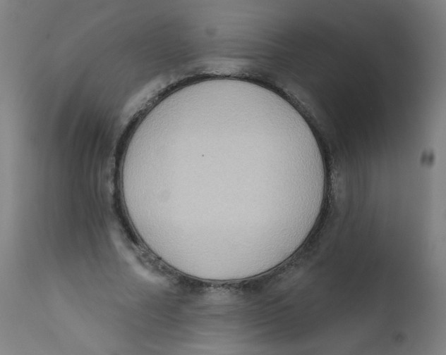 X0000112180682200909041231