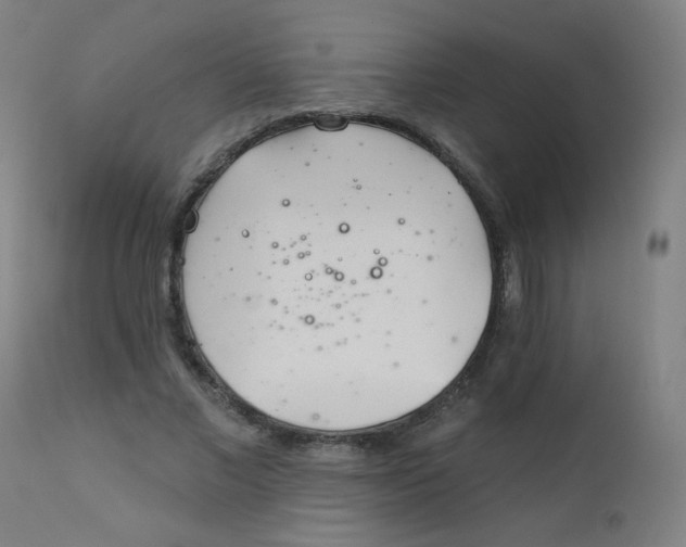 X0000112180685200909041231
