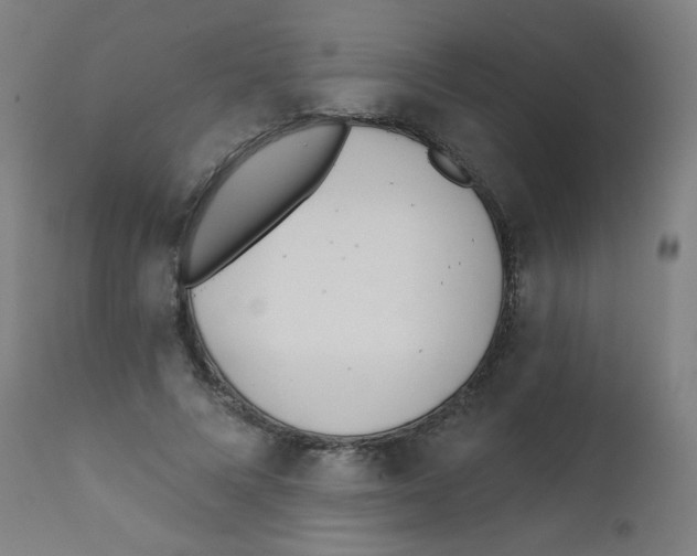 X0000112180688200909041231