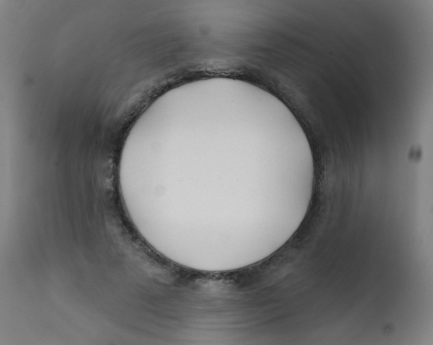 X0000112180689200909041231
