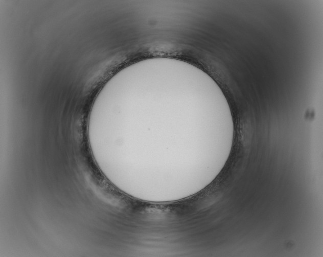 X0000112180690200909041231